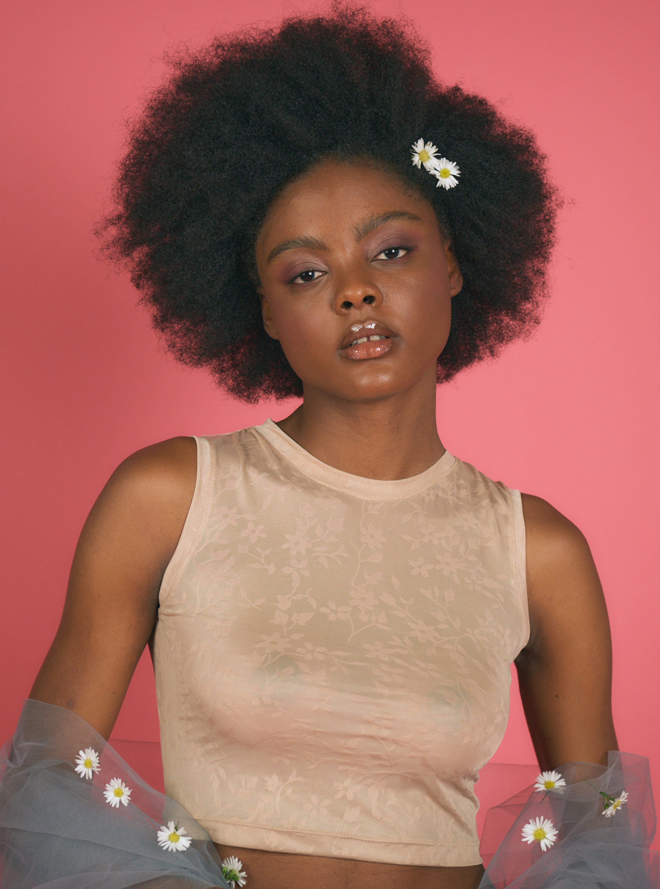 Crop Top Hanson Nude Mesh