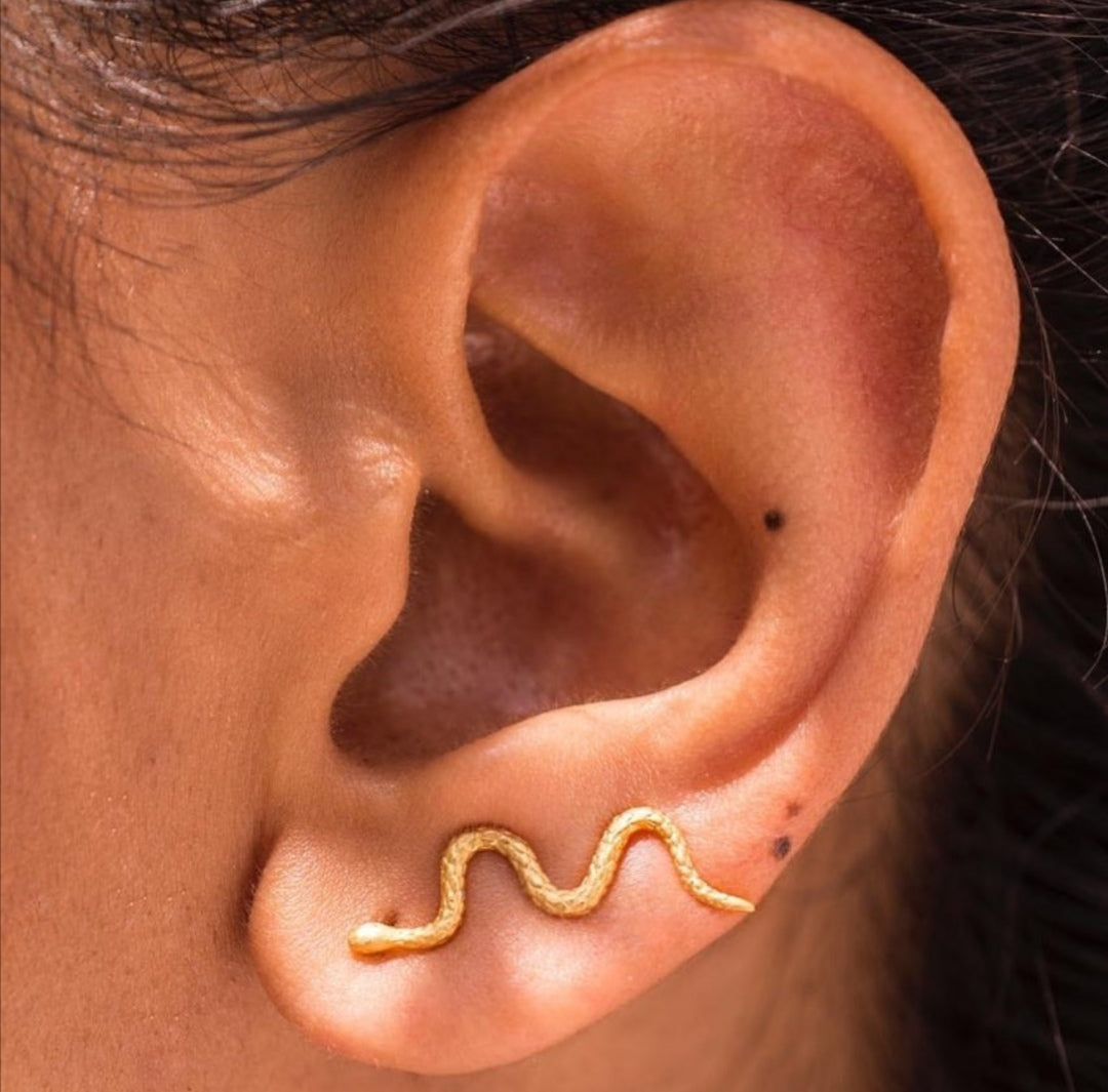 Feathered serpent earrings